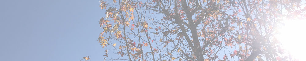 豊田自然観察の森（三角点・市木）