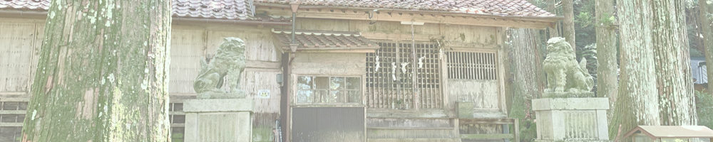 津具八幡宮のスギ