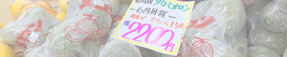 道の駅 田原めっくんはうす