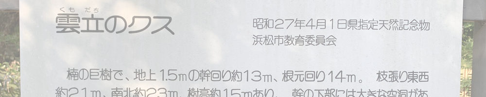 雲立の楠(浜松八幡宮)
