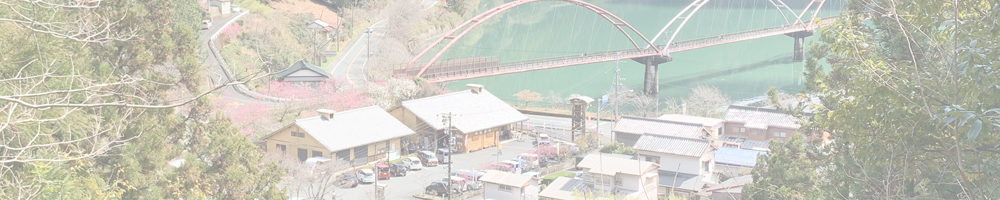 道の駅 天竜相津花桃の里