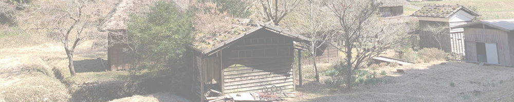 千万町のミツマタ群生地