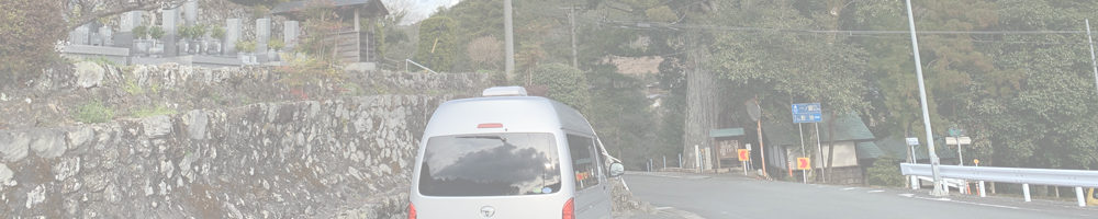 武速神社の将軍スギ