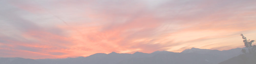 道の駅 なるさわ
