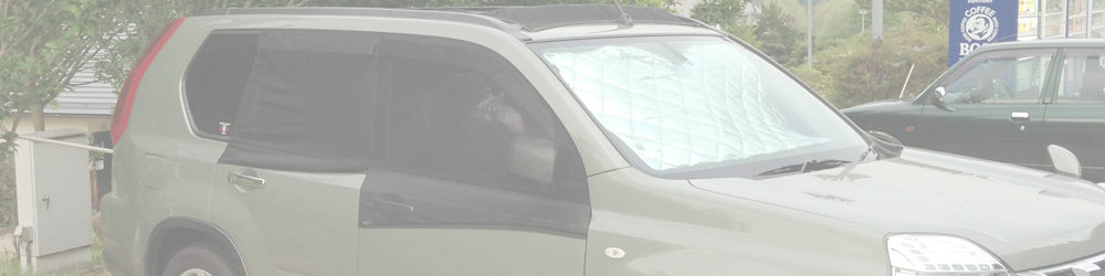 道の駅 南きよさと