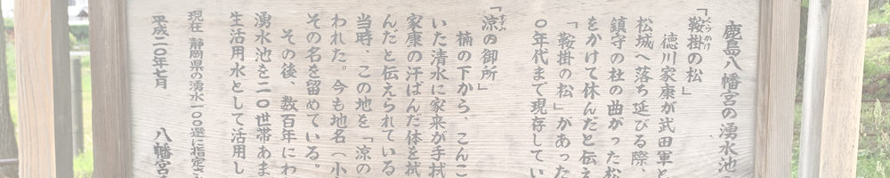 鹿島八幡神社の湧き水と楠