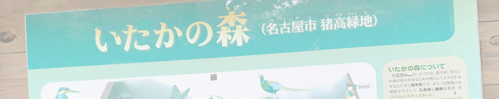 根岳（鷹住山）