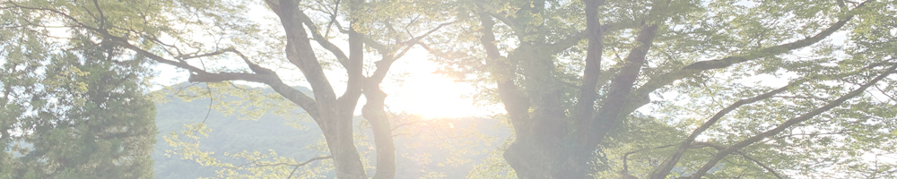 まがっとのケヤキ