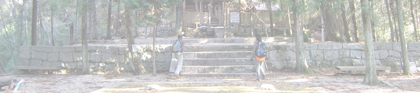 東の宮のエノキ